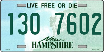 NH license plate 1307602