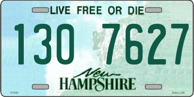 NH license plate 1307627