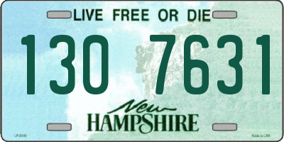 NH license plate 1307631