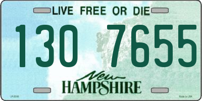 NH license plate 1307655