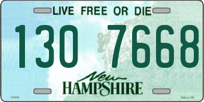 NH license plate 1307668