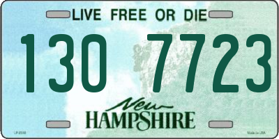 NH license plate 1307723