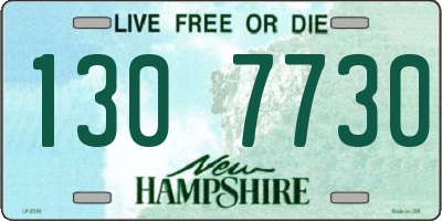 NH license plate 1307730