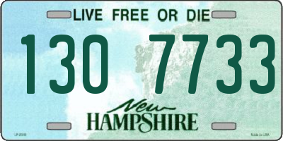 NH license plate 1307733