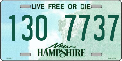 NH license plate 1307737