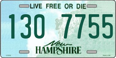 NH license plate 1307755