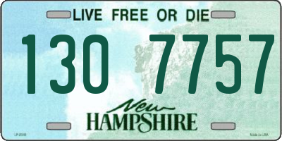NH license plate 1307757