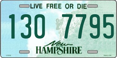 NH license plate 1307795