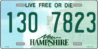 NH license plate 1307823