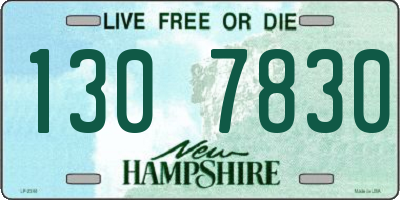 NH license plate 1307830