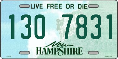 NH license plate 1307831