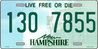 NH license plate 1307855