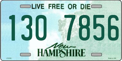 NH license plate 1307856