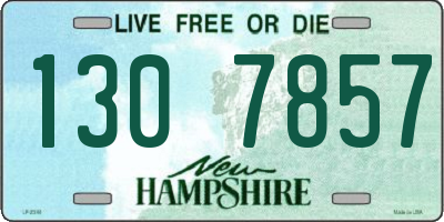 NH license plate 1307857
