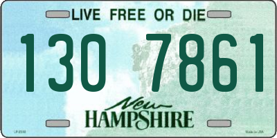 NH license plate 1307861