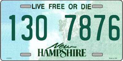 NH license plate 1307876