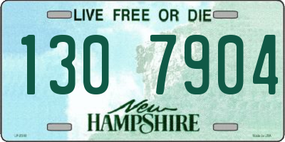 NH license plate 1307904