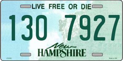 NH license plate 1307927