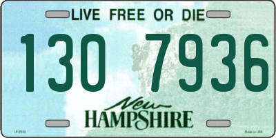 NH license plate 1307936