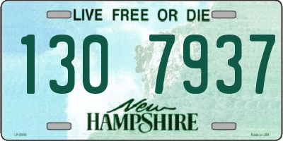 NH license plate 1307937