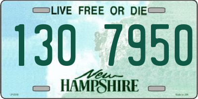 NH license plate 1307950