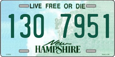 NH license plate 1307951