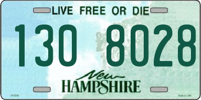NH license plate 1308028