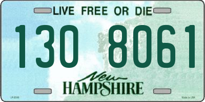 NH license plate 1308061