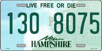 NH license plate 1308075