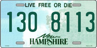 NH license plate 1308113