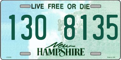 NH license plate 1308135