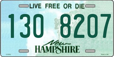 NH license plate 1308207
