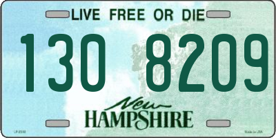NH license plate 1308209