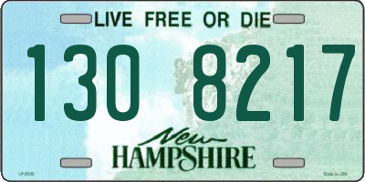 NH license plate 1308217