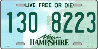 NH license plate 1308223