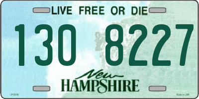 NH license plate 1308227