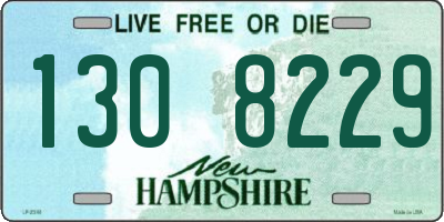 NH license plate 1308229