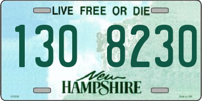NH license plate 1308230