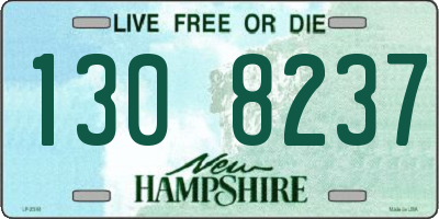 NH license plate 1308237