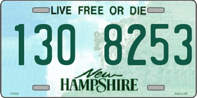 NH license plate 1308253