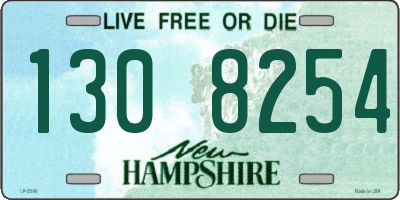 NH license plate 1308254