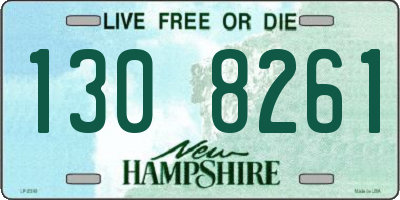 NH license plate 1308261