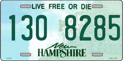 NH license plate 1308285