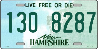 NH license plate 1308287