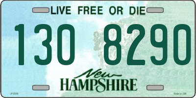 NH license plate 1308290