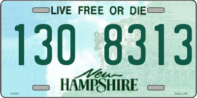 NH license plate 1308313
