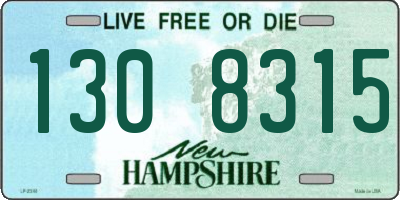 NH license plate 1308315
