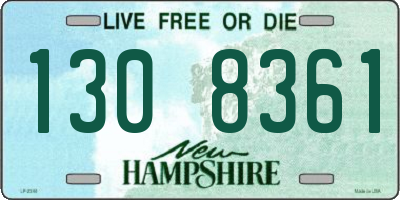 NH license plate 1308361