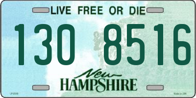 NH license plate 1308516