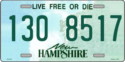NH license plate 1308517